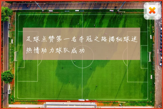 足球点赞第一名夺冠之路揭秘球迷热情助力球队成功