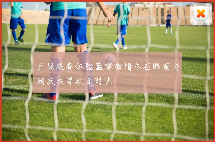 主场观赛体验篮球激情尽在眼前与朋友共享欢乐时光