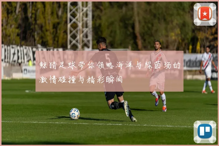 鲸猜足球带你领略海洋与绿茵场的激情碰撞与精彩瞬间