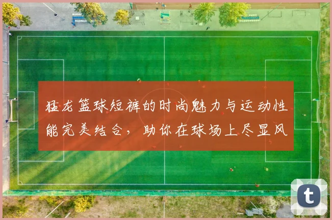 猛龙篮球短裤的时尚魅力与运动性能完美结合，助你在球场上尽显风采