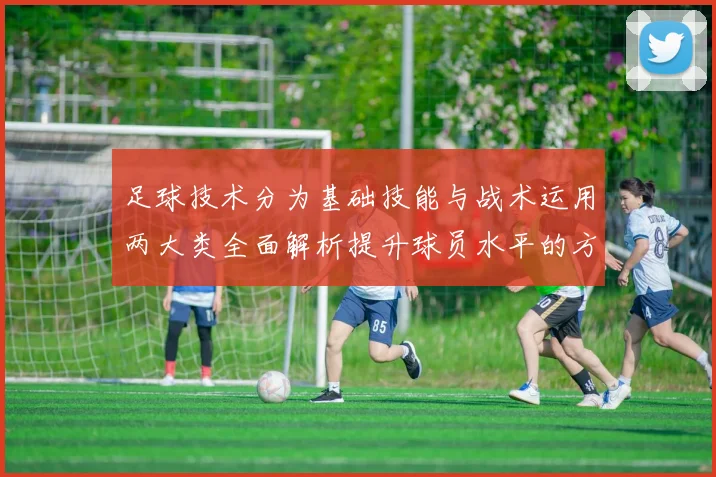 足球技术分为基础技能与战术运用两大类全面解析提升球员水平的方法与技巧