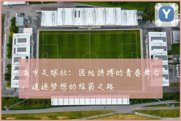 高中足球社：团结拼搏的青春舞台，追逐梦想的绿茵之路