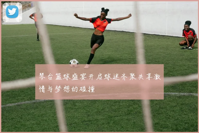 琴台篮球盛宴开启球迷齐聚共享激情与梦想的碰撞