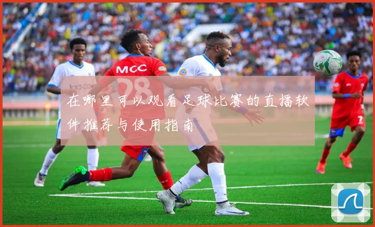 在哪里可以观看足球比赛的直播软件推荐与使用指南